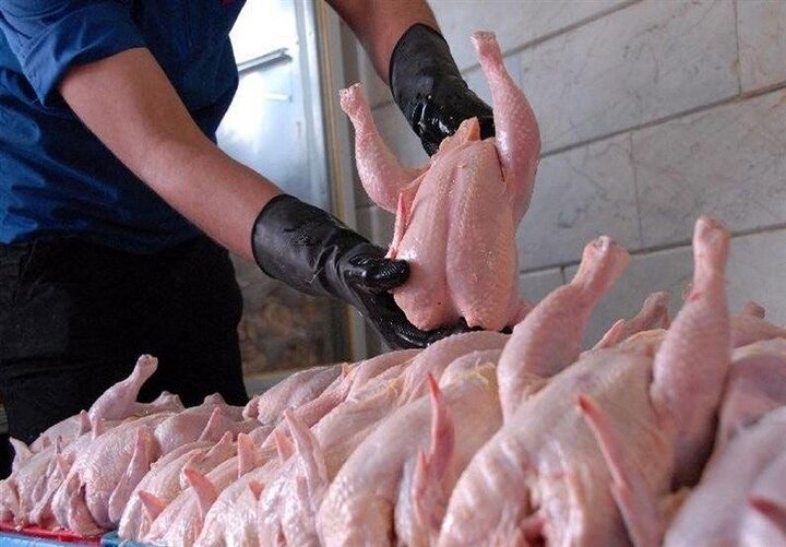 کاهش عجیب قیمت مرغ در بازار