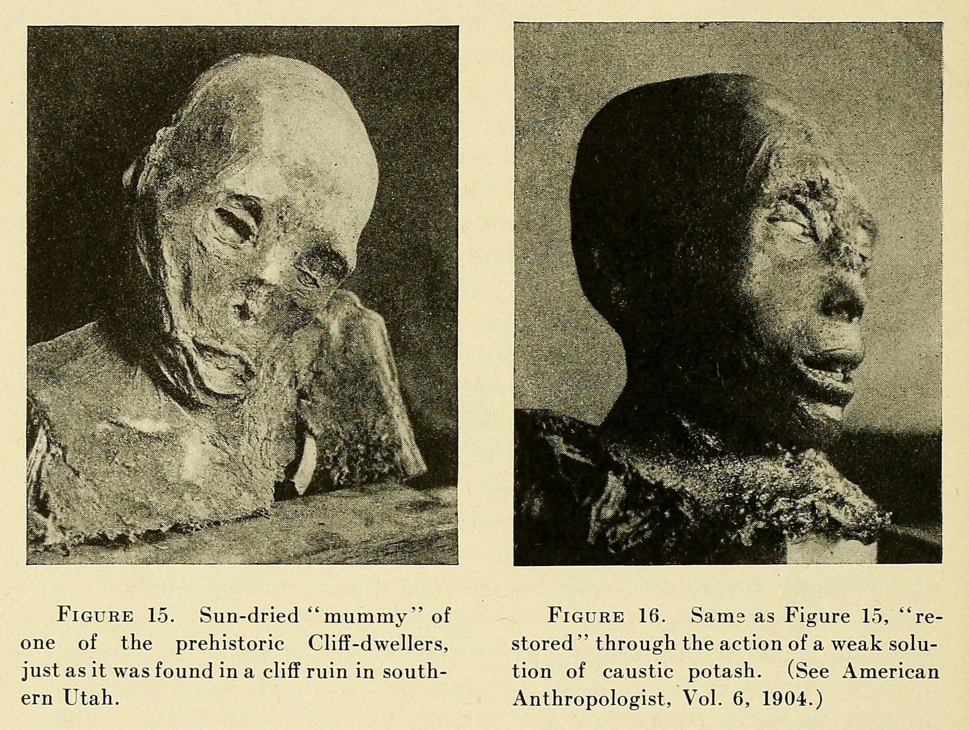 حقایق شگفت‌انگیز باستان‌شناسی؛ از خمیردندان مصری تا میمون‌های مومیایی (فرادید)