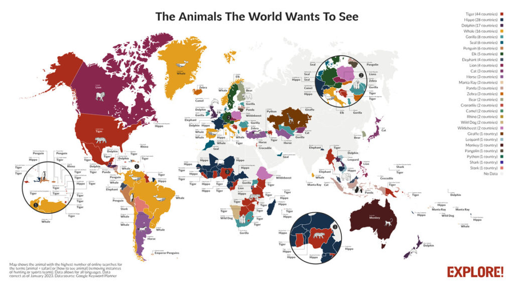 محبوب‌ترین حیوانات در نقاط مختلف جهان کدامند؟ (روزیاتو)