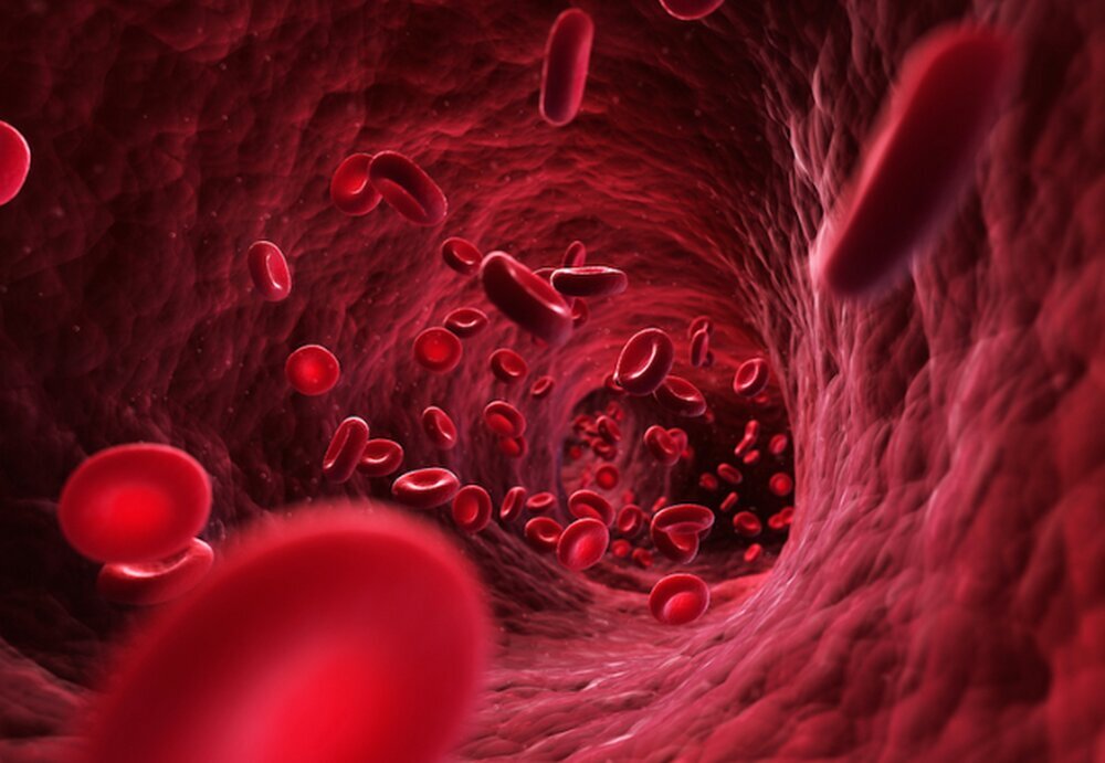 چه لیتر خون در بدن انسان وجود دارد؟
