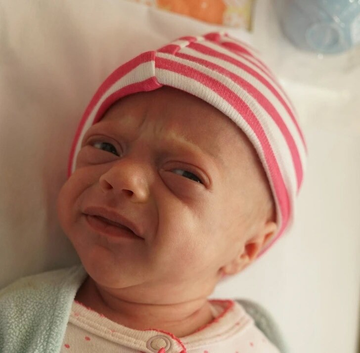 تصاویر ۱۶ نوزادی که در شرف بازنشستگی هستند (برترین ها)