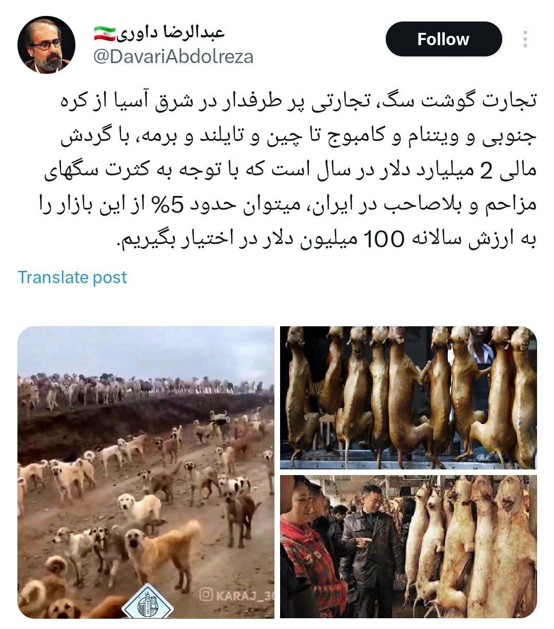 پیشنهاد عجیب درباره صادرات گوشت سگ‌های ایران!