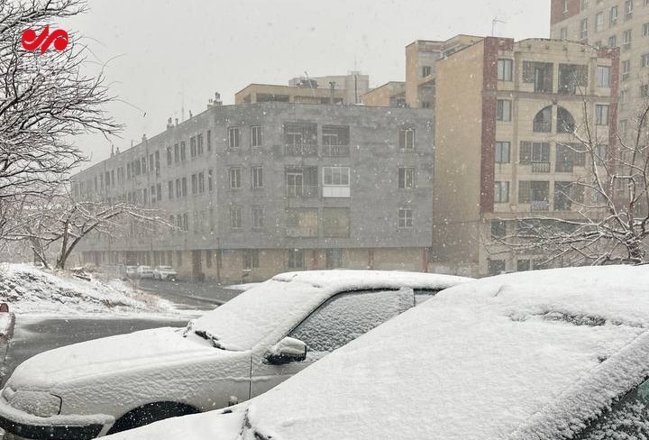 برف تهران را سفیدپوش کرد