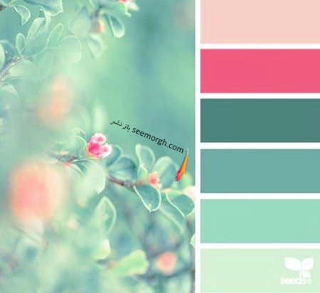 بهترین ترکیب‌های رنگی ملایم برای یک دکوراسیون بهاری زیبا (خبرفوری)