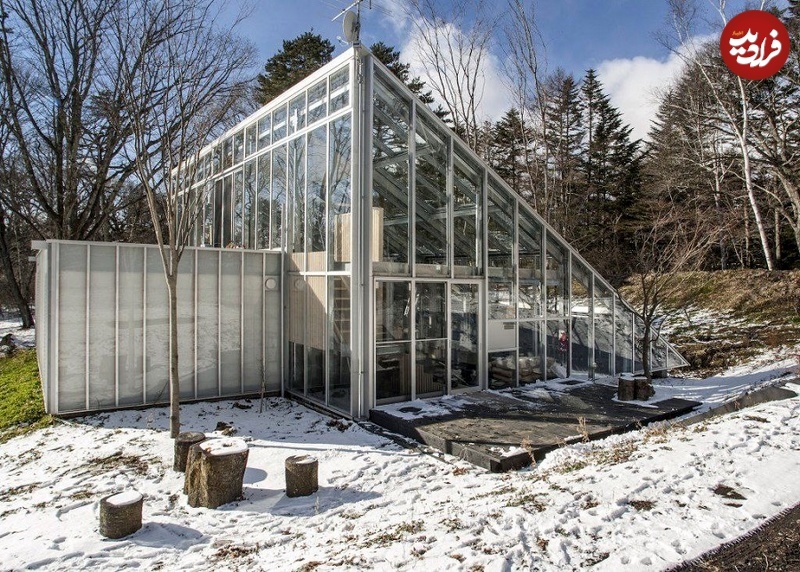 خاص‌ترین خانۀ شیشه‌ای دنیا در جنگل‌های ژاپن (فرادید)