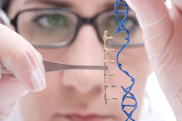 چگونه ژنتیک انتخاب‌های زندگی ما را تعیین می‌کند؟(عصرایران)