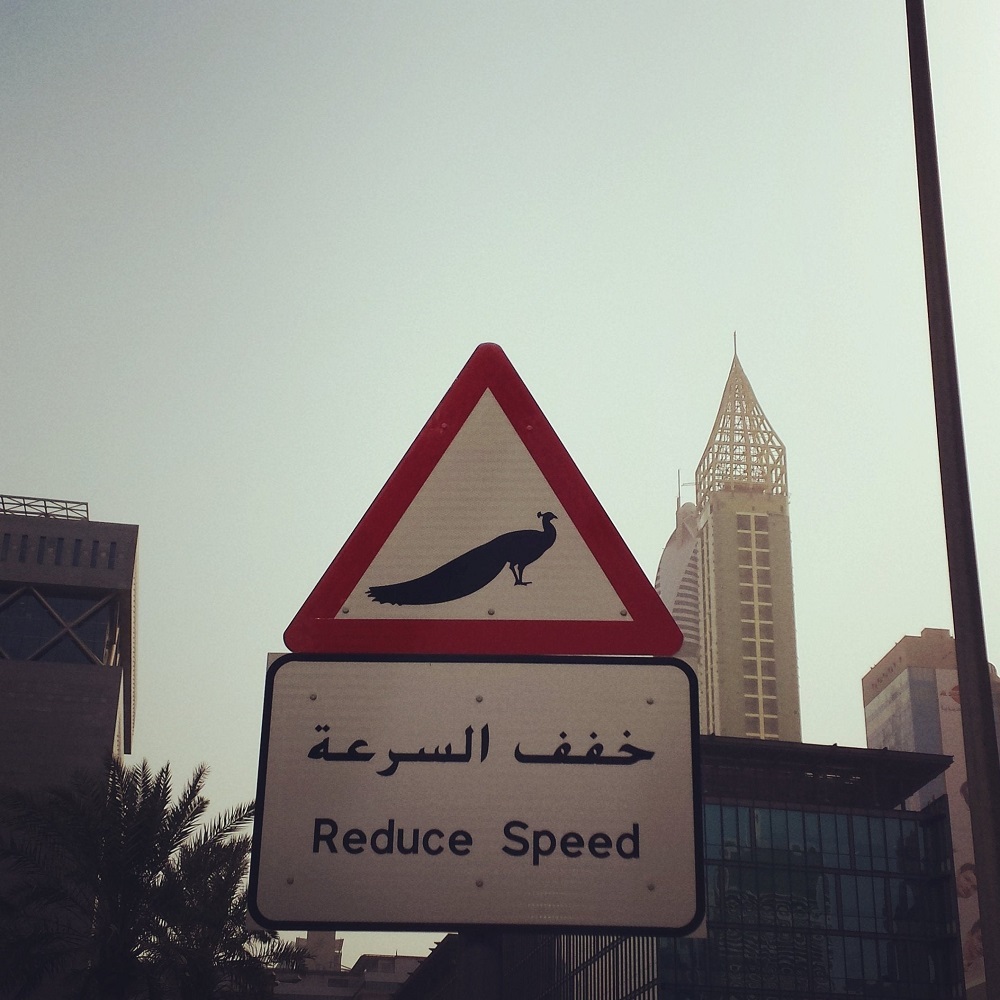 عجیب ترین تابلوی اعلام خطر در خیابان های دبی