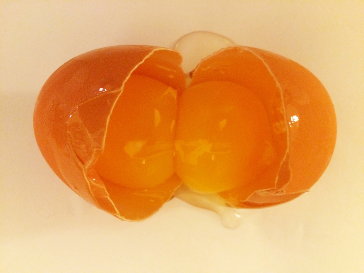 علت دو زرده شدن تخم مرغ چیست؟