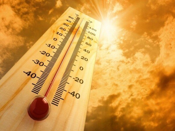 واکنش سازمان هواشناسی به اخبار رکوردشکنیِ گرما
