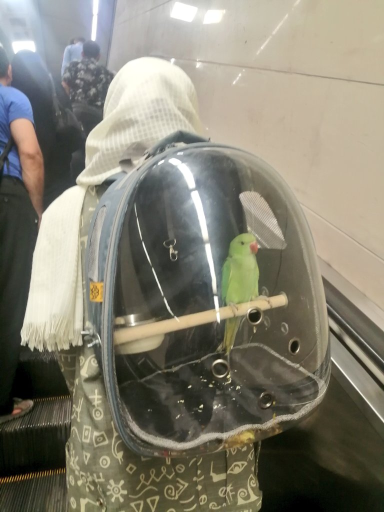 تصویری از مسافر خاصِ متروی تهران پربازدید شد