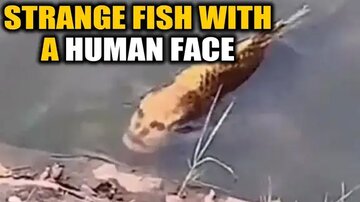 شکار یک ماهی عجیب با صورت انسان!