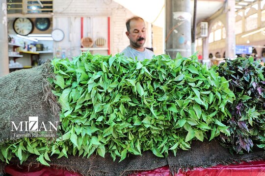 تصاویری از نحوه زندگی مردم در گرمترین شهر ایران (میزان)