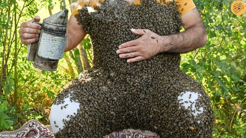 مردی با هزاران زنبور عسل روی بدنش (فرارو)