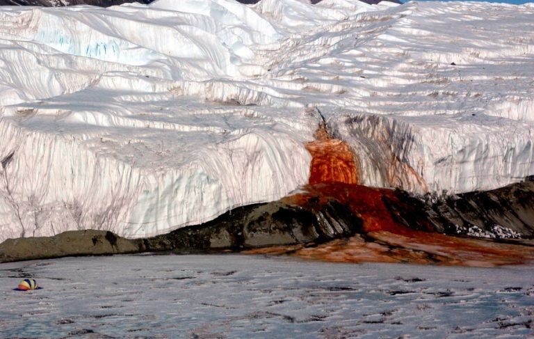 ۱۴ مورد از عجیب‌ترین اسرار قطب جنوب که نمی‌خواهند شما بدانید (دیجی کالا مگ)