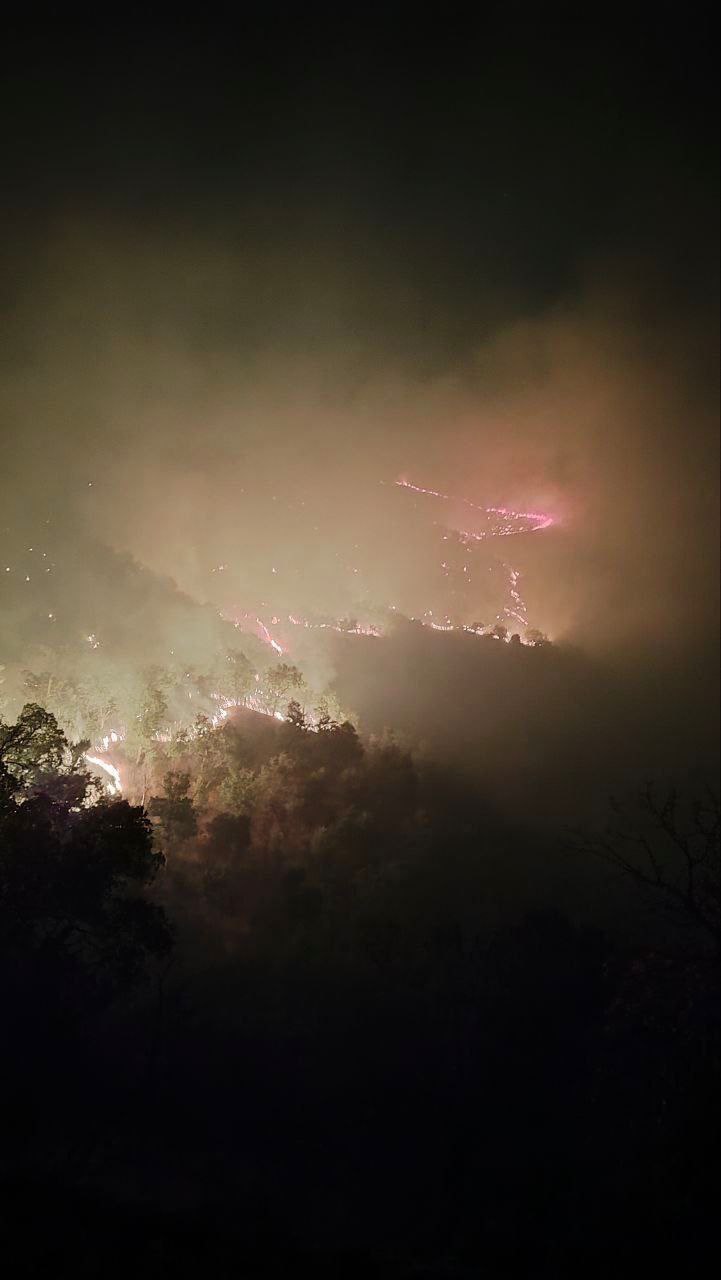 تصویری هولناک از آتش‌سوزی جنگل‌های مریوان