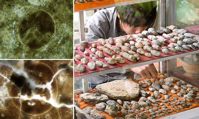 تلاش ترسناک دانشمندان برای زنده کردن انگل ۲۰۰ میلیون ساله در مدفوع فسیل شده (روزیاتو)