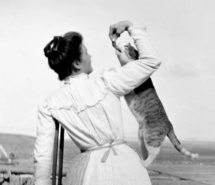 این عکس‌های قدیمی ثابت می‌کنند که گربه‌ها همیشه محبوب بوده‌اند (برترین ها)