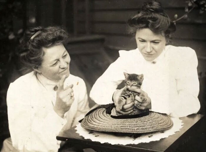 این عکس‌های قدیمی ثابت می‌کنند که گربه‌ها همیشه محبوب بوده‌اند (برترین ها)