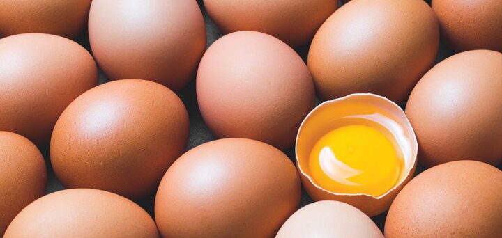 وجود لکه‌های قرمز و قهوه‌ای در تخم‌‌مرغ نشانه چیست؟ (زومیت)