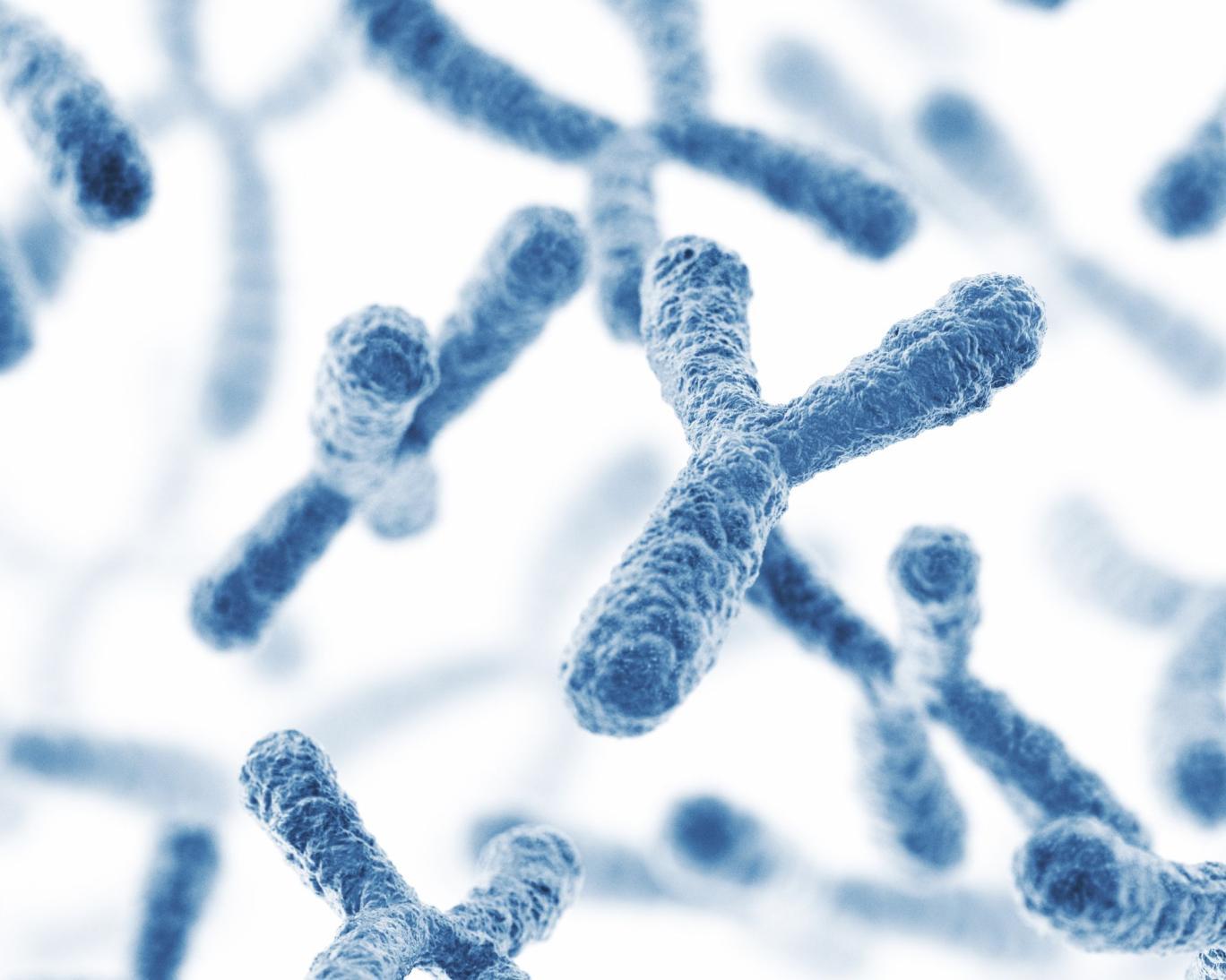 دانشمندان معمای ژنتیکی مربوط به کروموزم جنسیت را حل کردندمنبع: رویترز