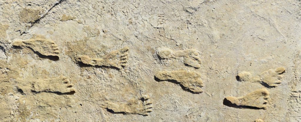 تایید شد: قدیمی‌ترین ردپای انسان در آمریکای شمالی حداقل ۲۱۵۰۰ سال قدمت دارد (یک پزشک)