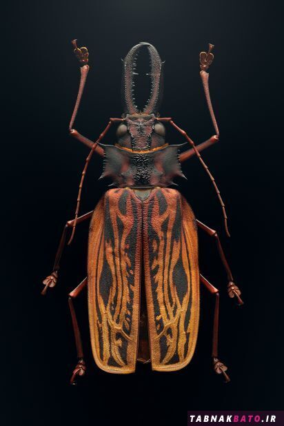 تصاویر فوق العاده نزدیک حشرات را به گونه‌ای نشان می‌دهد که قبلاً آن‌ها را ندیده اید