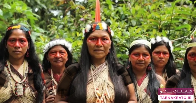 این قبیله کوچک شجاع، آمازون را نجات داد
