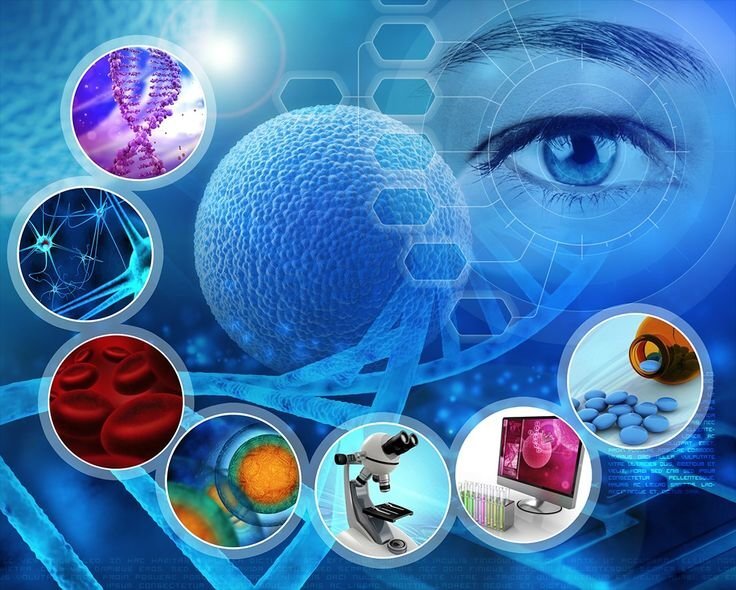 درمان با سلول‌های بنیادی برای ترمیم آسیب‌های چشم