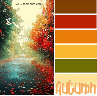 چگونه با رنگ های تند پاییزی دکوراسیون داخلی زیبایی بچینیم؟ (خبرفوری)