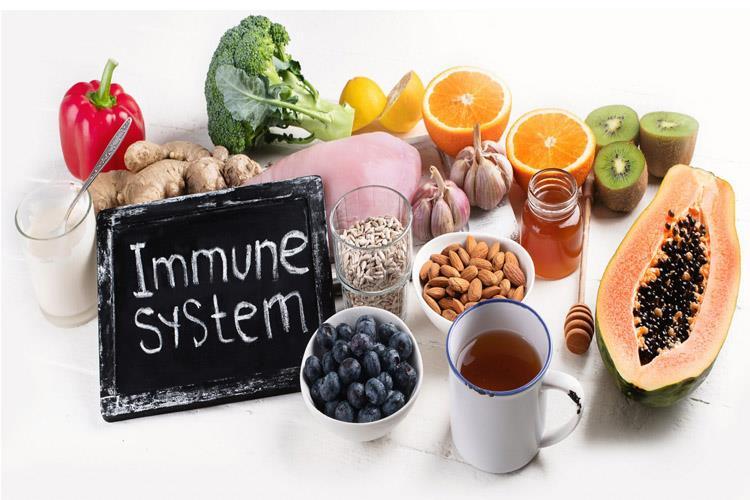 ۱۰ غذای برتر برای تقویت سیستم ایمنی بدن (خبرفوری)