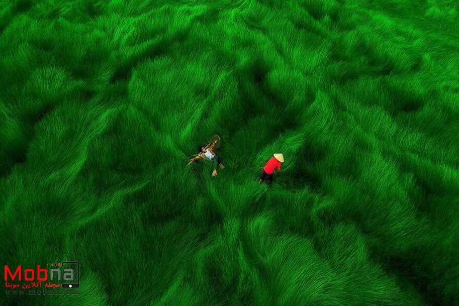 تصاویر پهپادی بسیار زیبا و جادویی از ویتنام (موبنا)
