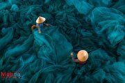 تصاویر پهپادی بسیار زیبا و جادویی از ویتنام