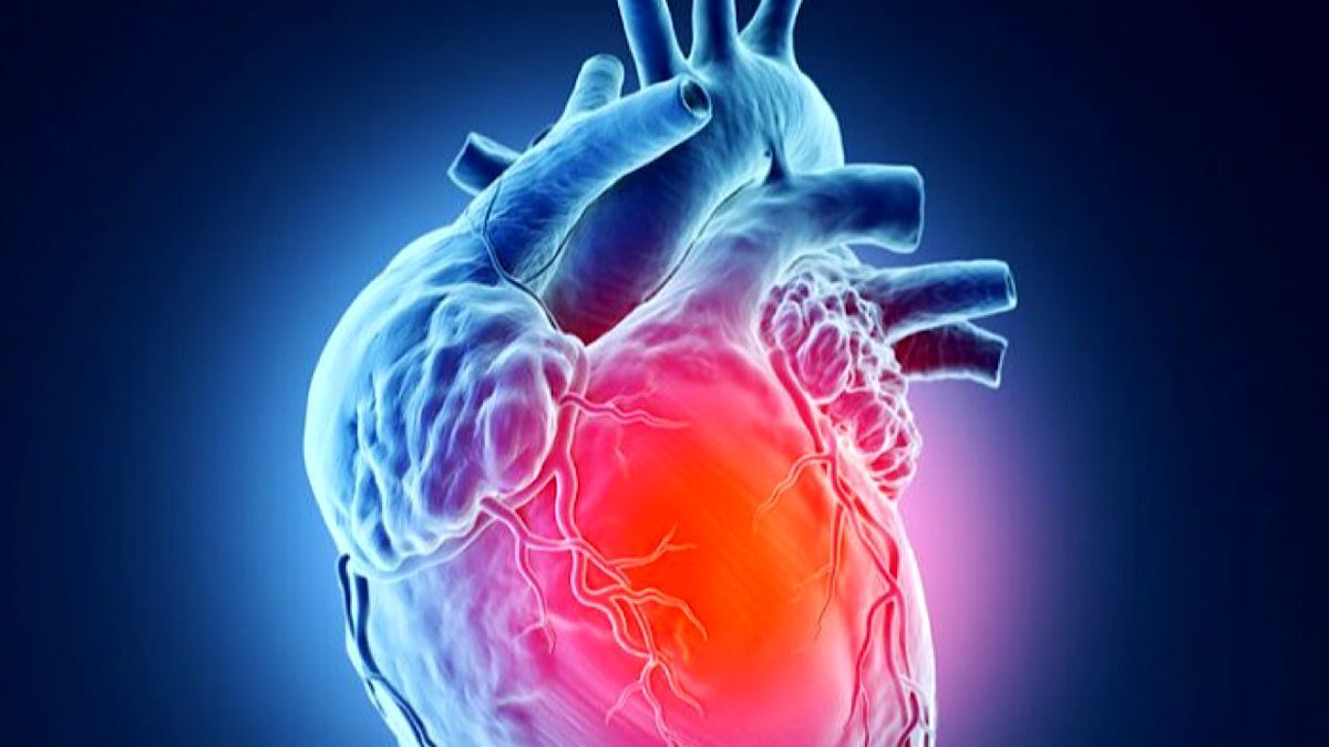 مهم‌ترین دلایل ابتلا به تومور قلبی و راه‌های درمان آن (خبرفوری)