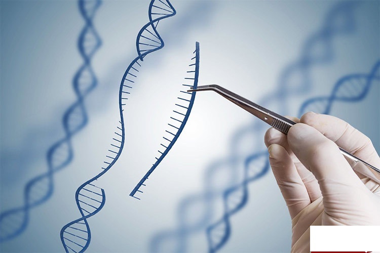 منظور از ژن درمانی چیست؟ +بررسی نحوه عملکرد ژن‌ها (باشگاه خبرنگاران جوان)