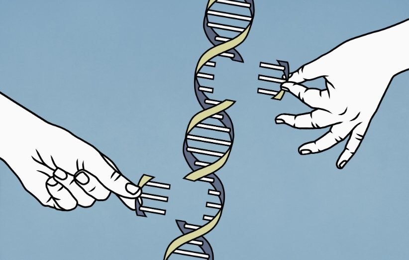 پروژه ژنوم انسانی (HGP) چیست و چه اهدافی دارد؟ (یک پزشک)