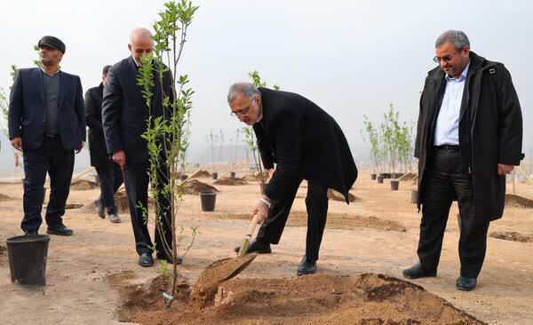 در سال‌های اخیر چند اصله درخت به تهران اضافه شده است؟