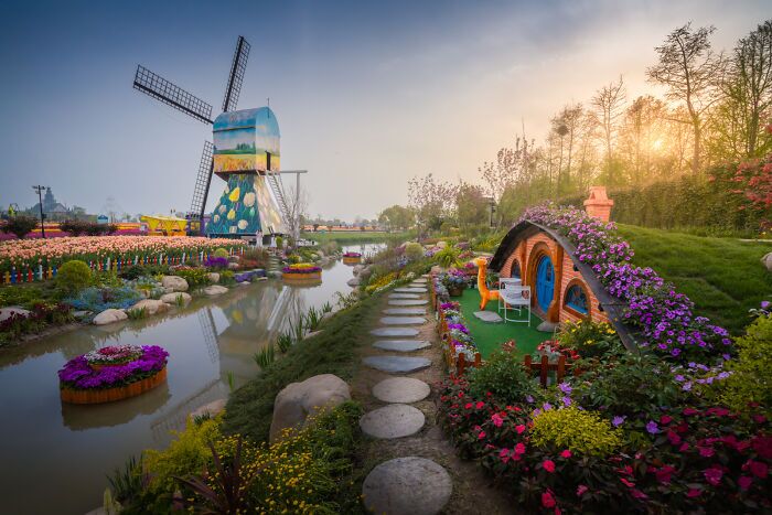 چینی‌ها باغ‌های گل لاله و ساختمان‌های سبک هلندی را مدتهاست که کپی کرده‌اند (یک پزشک)