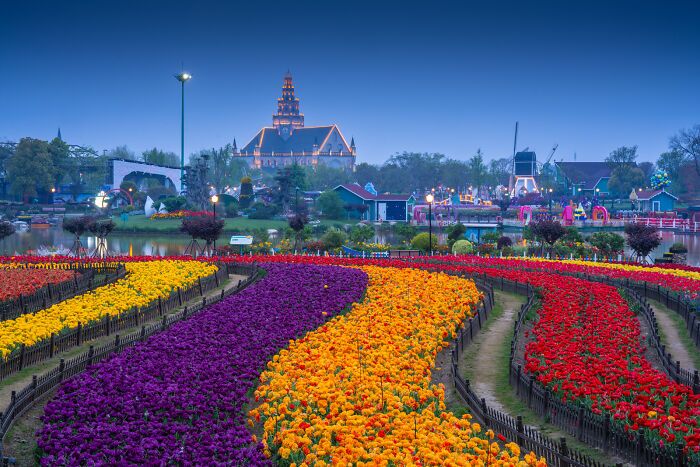 چینی‌ها باغ‌های گل لاله و ساختمان‌های سبک هلندی را مدتهاست که کپی کرده‌اند (یک پزشک)