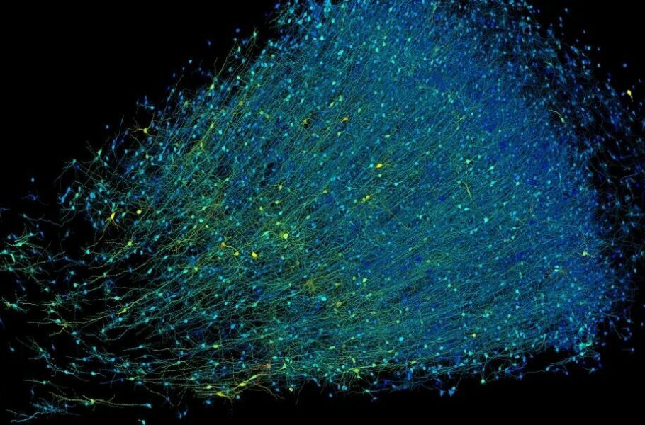 آلبوم عکس‌های باورنکردنی گوگل از یک میلیمتر مکعب بافت مغز – زیبایی و شکوه و پیچیدگی (یک پزشک)