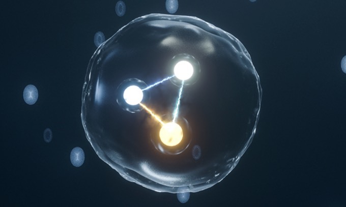 فیزیکدان‌ها نشانه‌هایی از یک ذره مرموز به نام Glueball یا گلوله چسبناک را پیدا کرده‌اند (یک پزشک)