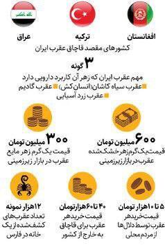بازارهای زیرزمینیِ خرید و فروش عقرب در ایران