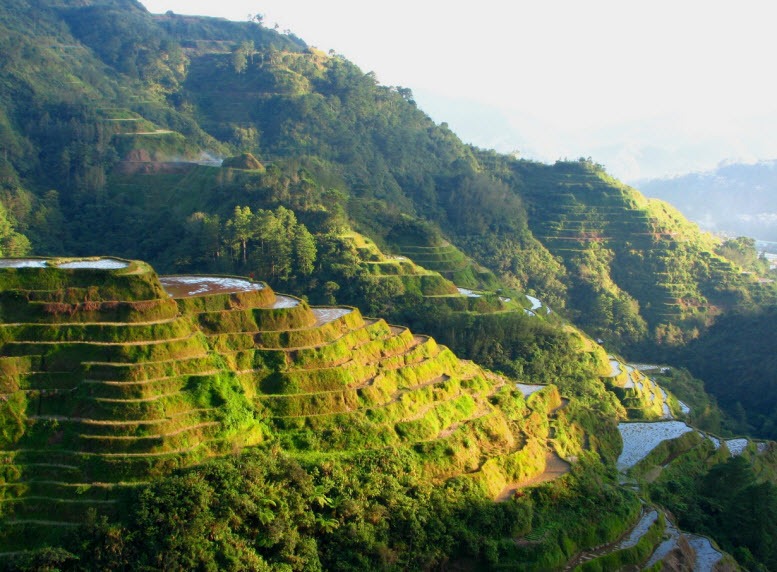 عجیب‌ترین پروژه مهندسی کشاورزی جهان: کشت پلکانی در فیلیپین (یک پزشک)