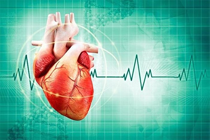 منظور از ضربان قلب چیست و چگونه کار می‌کند؟