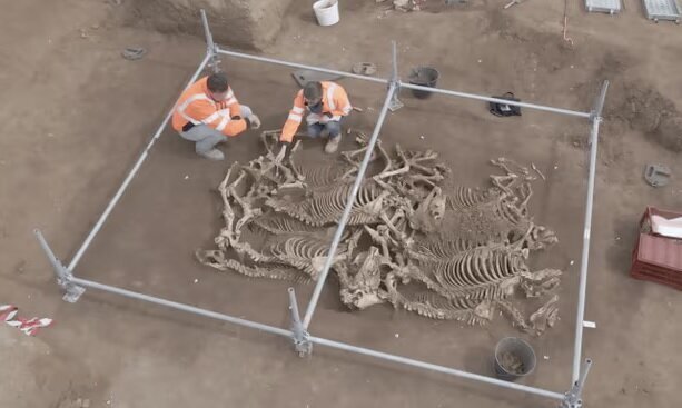کشف اسب‌هایی که ۲۰۰۰ سال پیش دفن شدند (عصرایران)