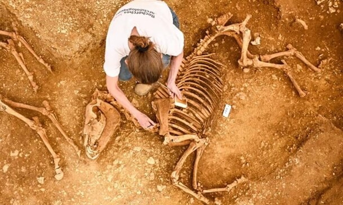 کشف اسب‌هایی که ۲۰۰۰ سال پیش دفن شدند (عصرایران)