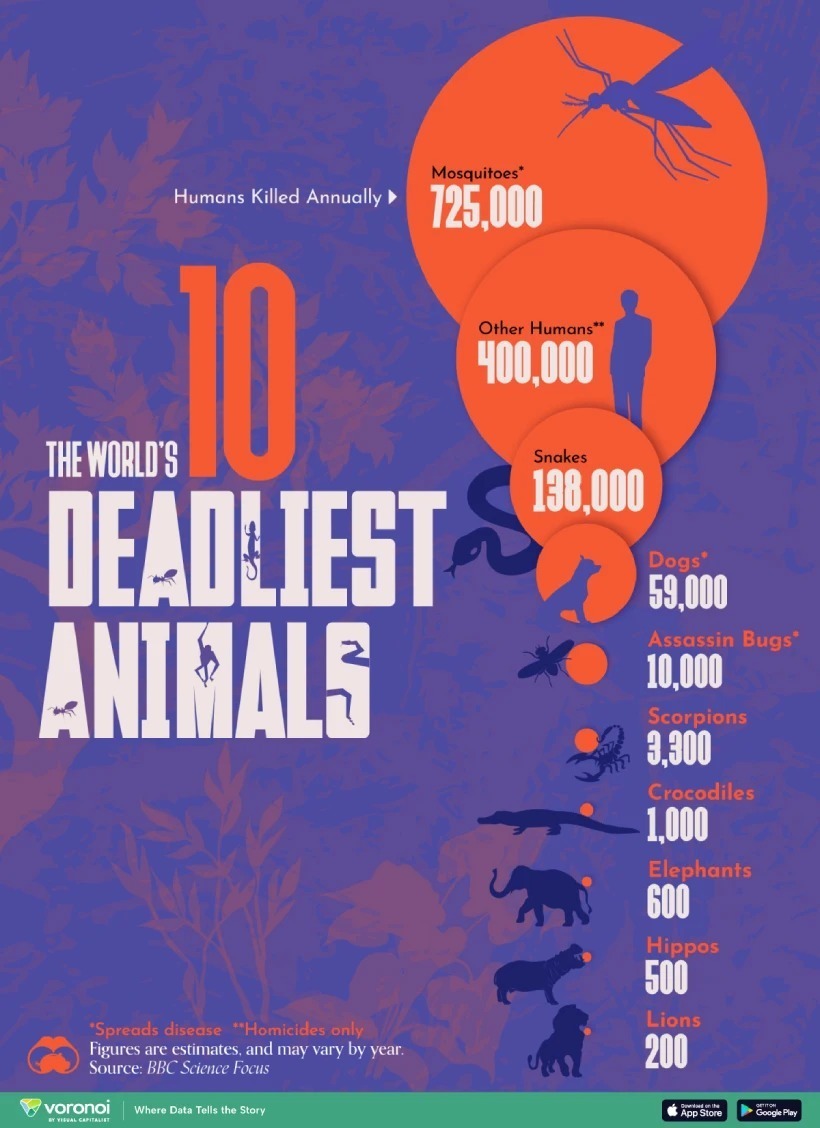 ۱۰ حیوان مرگباری که هر ساله بیشترین تعداد انسان‌ها را می‌کشند (روزیاتو)