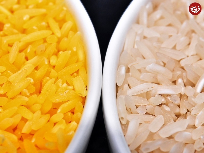 «برنج طلایی» چیست و چرا جنجال‌برانگیز شده؟