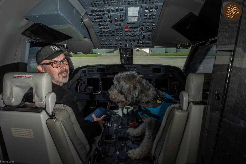 یک شرکت هواپیمایی در خدمت سگ‌های خانگی (فرارو)
