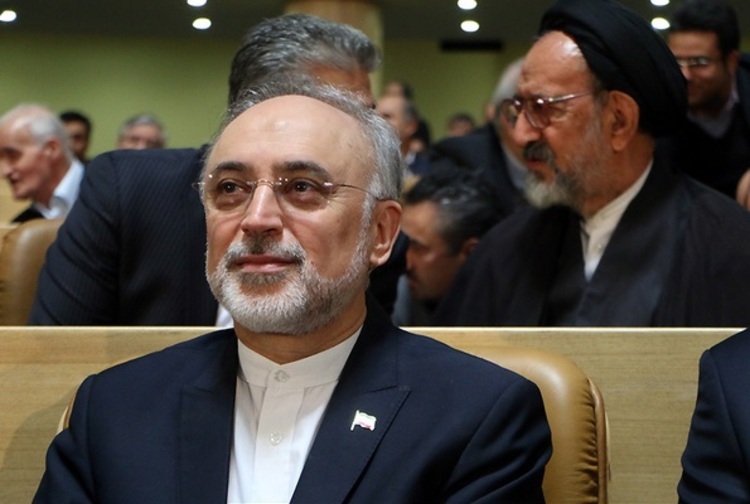 محبوب‌ترین دیپلمات تاریخ ایران کاندیدا می‌شود 