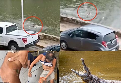 لحظه وحشتناک تعقیب وگریز شناگر توسط تمساح